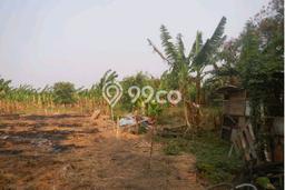 Kavling Tanah di Cengkareng Dijual Luas 16600m2 Legalitas SHM Kavling Tanah di Cengkareng Dijual Luas 16600m2 Legalitas SHM