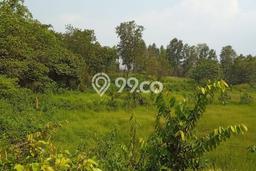 Lahan Investasi Lokasi Tigaraksa Tangerang SHM Lahan Investasi Lokasi Tigaraksa Tangerang SHM