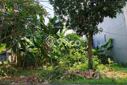 Tanah Kavling Dijual di Citra Garden, Jakarta Barat dengan Luas Tanah 255m2 Tanah Kavling Dijual di Citra Garden, Jakarta Barat dengan Luas Tanah 255m2