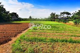 Tanah Komersial Dijual di Babelan Bekasi 2478m2 Tanah Komersial Dijual di Babelan Bekasi 2478m2