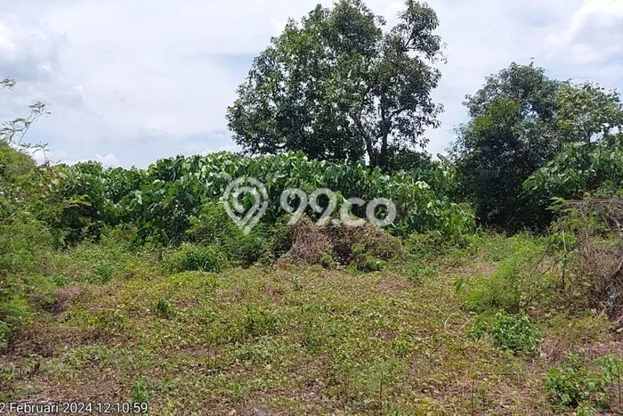 Dijual Tanah di Jati Uwung Tangerang Luas 8250m2 SHM Dijual Tanah di Jati Uwung Tangerang Luas 8250m2 SHM