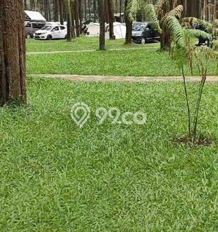Tanah untuk Dijual di Bojong Tegal Luas 4445m2 Tanah untuk Dijual di Bojong Tegal Luas 4445m2