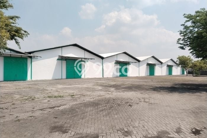 Gudang Komersial Disewakan di Nganjuk Nganjuk Luas 6500m2 Gudang Komersial Disewakan di Nganjuk Nganjuk Luas 6500m2