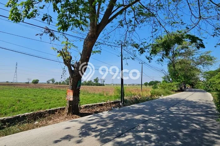 Tanah Dijual Lokasi Tambun Utara, Bekasi Luas 50000m2 Legalitas Aman Tanah Dijual Lokasi Tambun Utara, Bekasi Luas 50000m2 Legalitas Aman