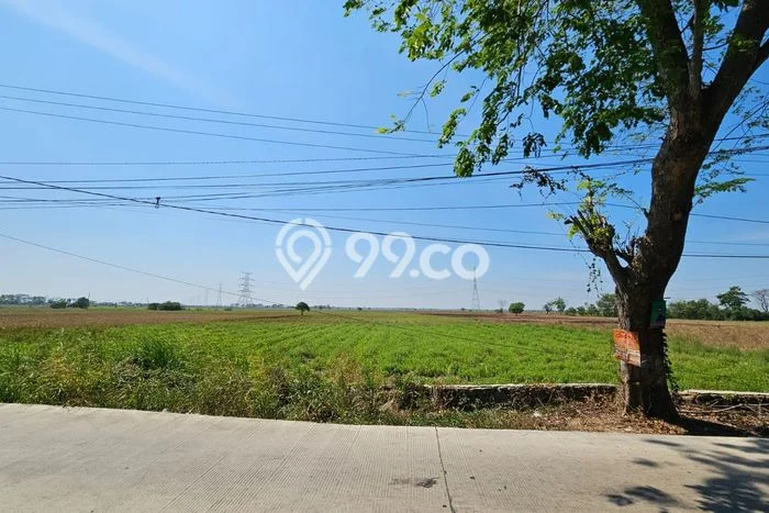 Tanah Dijual Lokasi Tambun Utara, Bekasi Luas 50000m2 Legalitas Aman Tanah Dijual Lokasi Tambun Utara, Bekasi Luas 50000m2 Legalitas Aman