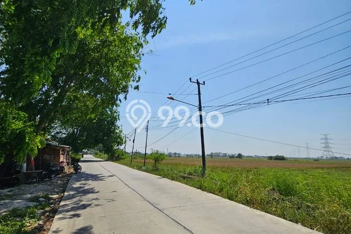 Tanah Dijual Lokasi Tambun Utara, Bekasi Luas 50000m2 Legalitas Aman Tanah Dijual Lokasi Tambun Utara, Bekasi Luas 50000m2 Legalitas Aman