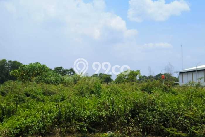 Tanah Dijual Area Strategis di Pasar Kemis Tangerang 3900m2 Tanah Dijual Area Strategis di Pasar Kemis Tangerang 3900m2