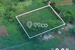 Tanah Dijual Lokasi Cimanggis, Depok dengan Luas Tanah 2000m2 dan Status SHM Tanah Dijual Lokasi Cimanggis, Depok dengan Luas Tanah 2000m2 dan Status SHM