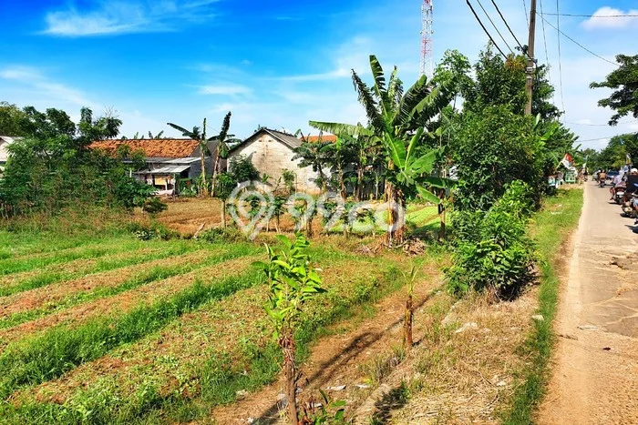 Untuk Dijual Tanah di Babelan Bekasi Luas 2478m2 SHM Untuk Dijual Tanah di Babelan Bekasi Luas 2478m2 SHM