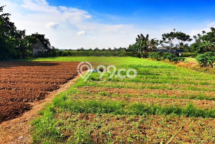 Untuk Dijual Tanah di Babelan Bekasi Luas 2478m2 SHM Untuk Dijual Tanah di Babelan Bekasi Luas 2478m2 SHM