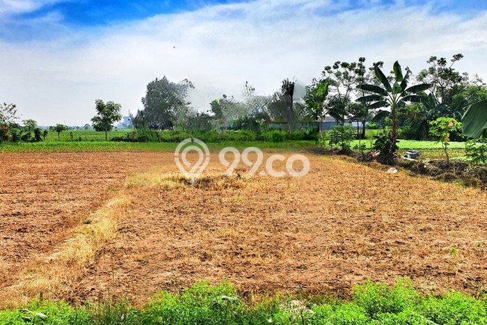 Untuk Dijual Tanah di Babelan Bekasi Luas 2478m2 SHM Untuk Dijual Tanah di Babelan Bekasi Luas 2478m2 SHM