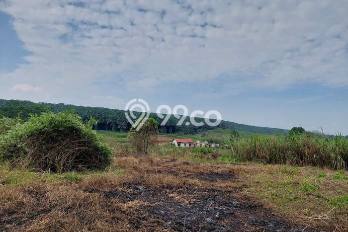 Dijual Tanah di Mande Cianjur Luas 11000m2 SHM Dijual Tanah di Mande Cianjur Luas 11000m2 SHM