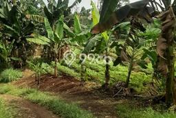 Tanah Kavling untuk Dijual di Sawangan Depok 11000m2 Tanah Kavling untuk Dijual di Sawangan Depok 11000m2