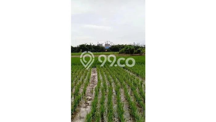 Tanah Kavling untuk Dijual di Pabuaran Subang 25000m2 Tanah Kavling untuk Dijual di Pabuaran Subang 25000m2
