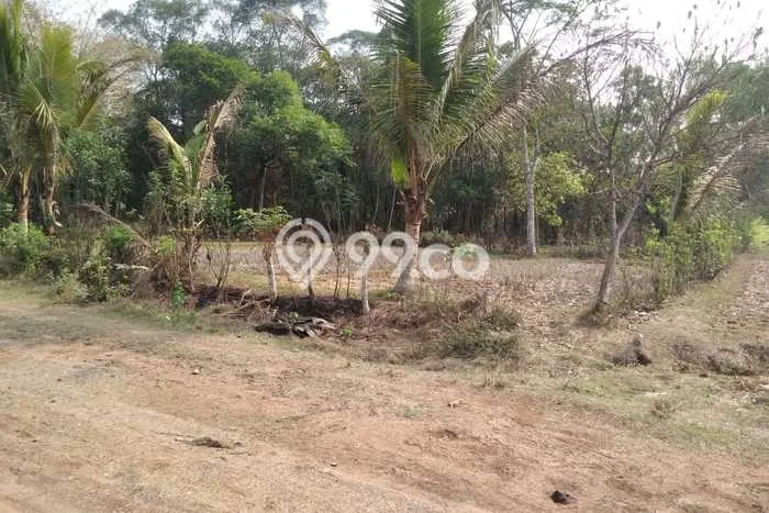 HOT DEAL! Tanah di Cileles, Luas 4000m2m², Lokasi Strategis HOT DEAL! Tanah di Cileles, Luas 4000m2m², Lokasi Strategis