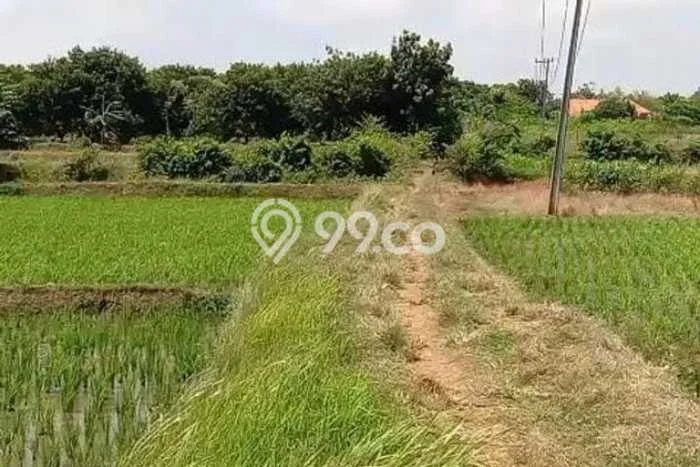 Tanah Kavling untuk Dijual di Pabuaran Subang 25000m2 Tanah Kavling untuk Dijual di Pabuaran Subang 25000m2