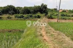 Tanah Kavling untuk Dijual di Pabuaran Subang 25000m2 Tanah Kavling untuk Dijual di Pabuaran Subang 25000m2