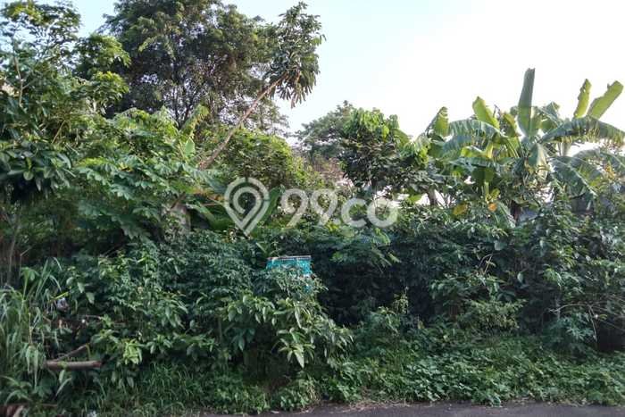 Tanah Dijual Lokasi Kebon Jeruk Jakarta Barat SHM Tanah Dijual Lokasi Kebon Jeruk Jakarta Barat SHM