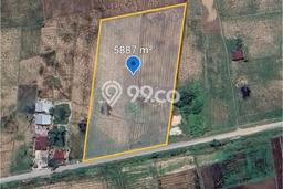 Tanah untuk Dijual Lokasi Percut Sei Tuan, Deli Serdang Luas 5887m2 SHM Tanah untuk Dijual Lokasi Percut Sei Tuan, Deli Serdang Luas 5887m2 SHM
