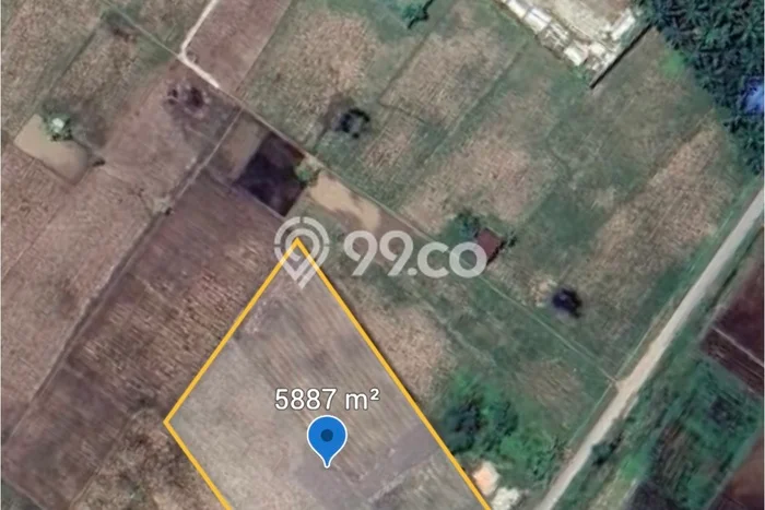 Jarang Ada! Tanah di Percut Sei Tuan Punya Luas 5887m2 SHM Jarang Ada! Tanah di Percut Sei Tuan Punya Luas 5887m2 SHM