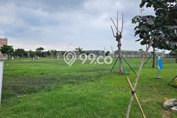Tanah Kavling Dijual di Pantai Indah Kapuk, Jakarta Utara dengan Luas Tanah 1000m2 Tanah Kavling Dijual di Pantai Indah Kapuk, Jakarta Utara dengan Luas Tanah 1000m2