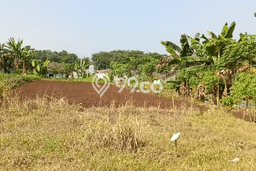 Tanah Potensial Kawasan Ciseeng, Luas 30000m2m², Akses Mudah Tanah Potensial Kawasan Ciseeng, Luas 30000m2m², Akses Mudah