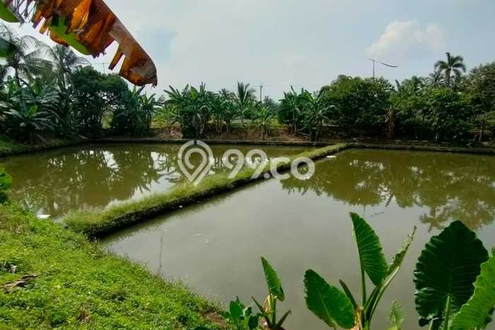 Jarang Ada! Tanah di Rumpin Punya Luas 5369m2 SHM Jarang Ada! Tanah di Rumpin Punya Luas 5369m2 SHM