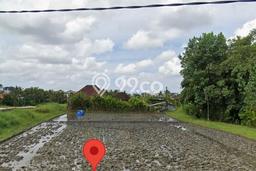 Jarang Ada! Tanah Kavling Disewakan di Badung 700m2 Jarang Ada! Tanah Kavling Disewakan di Badung 700m2