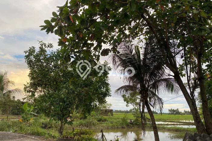 Untuk Dijual Tanah di Batipuh Tanah Datar Luas 18613m2 SHM Untuk Dijual Tanah di Batipuh Tanah Datar Luas 18613m2 SHM