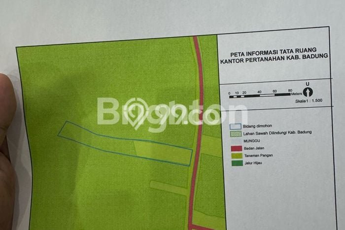 Tanah Disewakan Lokasi Munggu Badung Luas 4100m2 Tanah Disewakan Lokasi Munggu Badung Luas 4100m2