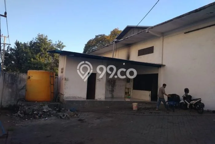 Unit Gudang Disewa Lokasi Kebomas, Gresik Spesifikasi Luas Bangunan 2283m2 Unit Gudang Disewa Lokasi Kebomas, Gresik Spesifikasi Luas Bangunan 2283m2