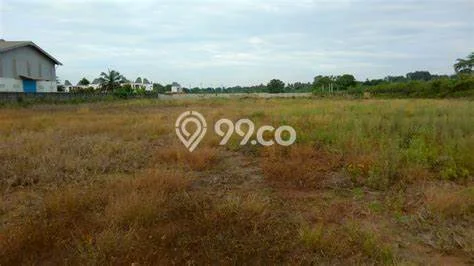 Kavling Tanah untuk Disewa di Citraland Lahan Luas 521m2 Kavling Tanah untuk Disewa di Citraland Lahan Luas 521m2