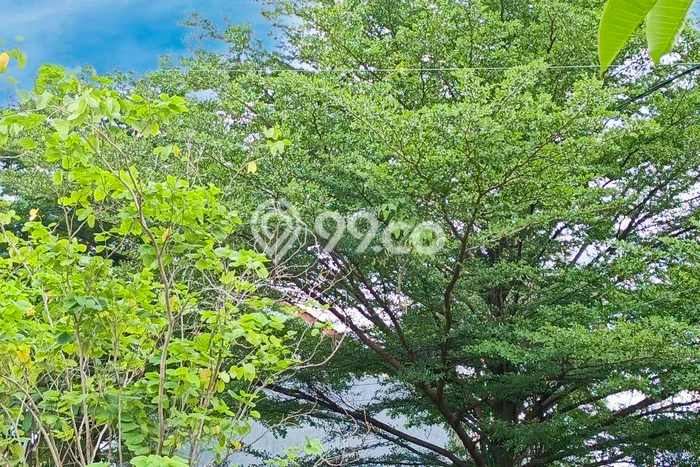 Dijual Cepat Rumah Bagus Siap Huni LB 85m2 di Kramat Jati, Jakarta Timur Dijual Cepat Rumah Bagus Siap Huni LB 85m2 di Kramat Jati, Jakarta Timur