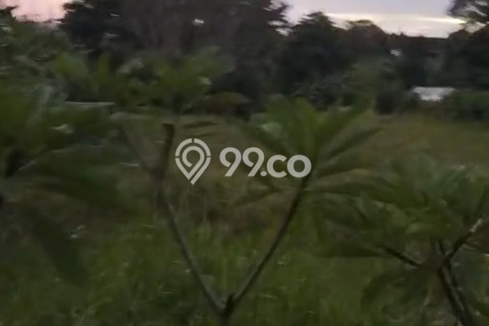 Tanah Disewakan Lokasi Badung Seluas 200m2 Strategis dan Aman Tanah Disewakan Lokasi Badung Seluas 200m2 Strategis dan Aman