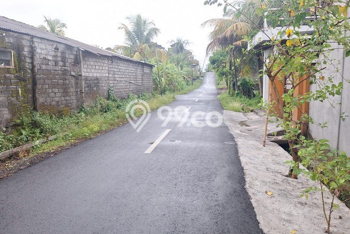 Kavling Tanah Dijual di Tabanan Tabanan Spesifikasi 644m2 Kavling Tanah Dijual di Tabanan Tabanan Spesifikasi 644m2