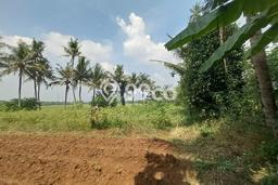 Tanah Dijual Lokasi Rajeg, Tangerang Luas 95m2 Legalitas Aman Tanah Dijual Lokasi Rajeg, Tangerang Luas 95m2 Legalitas Aman