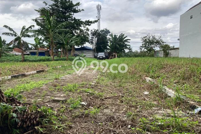 Tanah Kavling Dijual di Taman Yasmin, Bogor dengan Luas Tanah 91m2 Tanah Kavling Dijual di Taman Yasmin, Bogor dengan Luas Tanah 91m2