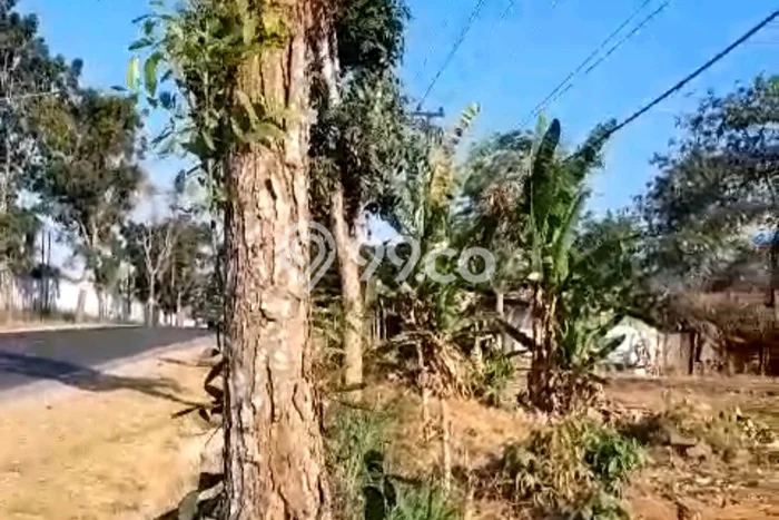 Jual Tanah di Ujung Pangkah, Luas 6000m2m², Lokasi Potensial Jual Tanah di Ujung Pangkah, Luas 6000m2m², Lokasi Potensial