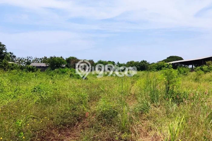Tanah di Benda, Luas 6000m², Siap untuk Sewa Tanah di Benda, Luas 6000m², Siap untuk Sewa