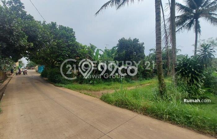 Tanah Dijual Lokasi Ranca Bungur Bogor SHM Tanah Dijual Lokasi Ranca Bungur Bogor SHM