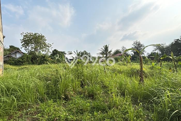 Lahan untuk Dijual di Balaraja Tangerang Luas 5000m2 Lahan untuk Dijual di Balaraja Tangerang Luas 5000m2