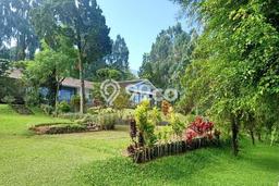 Vila Premium di Cisarua, Luas 9120m2m², Posisi Premium dengan jalan mudah Vila Premium di Cisarua, Luas 9120m2m², Posisi Premium dengan jalan mudah