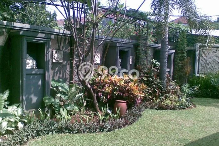 Sewa Rumah Nyaman di Cilandak Harga Rp 550 Juta/ Tahun Sewa Rumah Nyaman di Cilandak Harga Rp 550 Juta/ Tahun