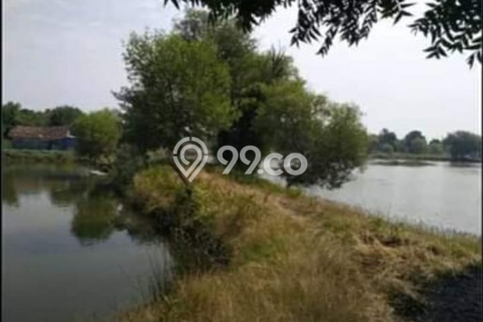 Kavling Tanah di Bangil Dijual Luas 42937m2 Legalitas SHM Kavling Tanah di Bangil Dijual Luas 42937m2 Legalitas SHM
