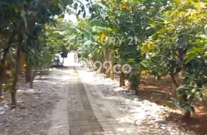 Tanah Dijual di Jakarta Utara Seluas 4730m2 Strategis Tanah Dijual di Jakarta Utara Seluas 4730m2 Strategis