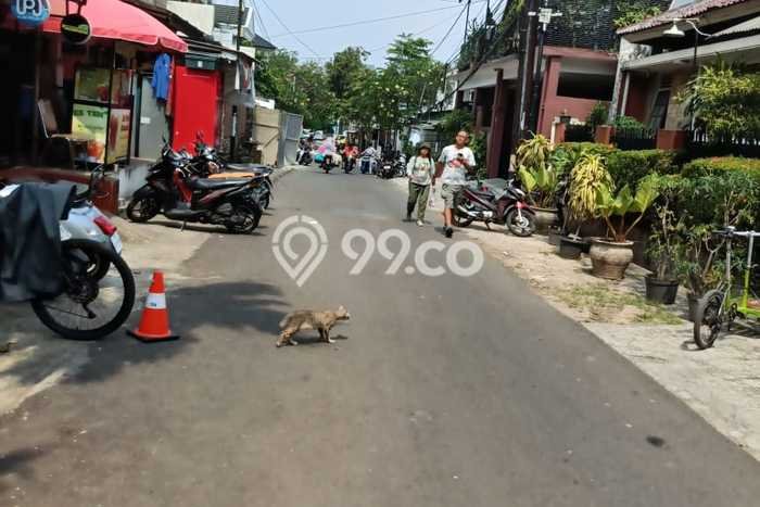 Dijual Rumah Premium dengan Fasilitas Sekitar Komplit di Tebet, Jakarta Selatan Dijual Rumah Premium dengan Fasilitas Sekitar Komplit di Tebet, Jakarta Selatan