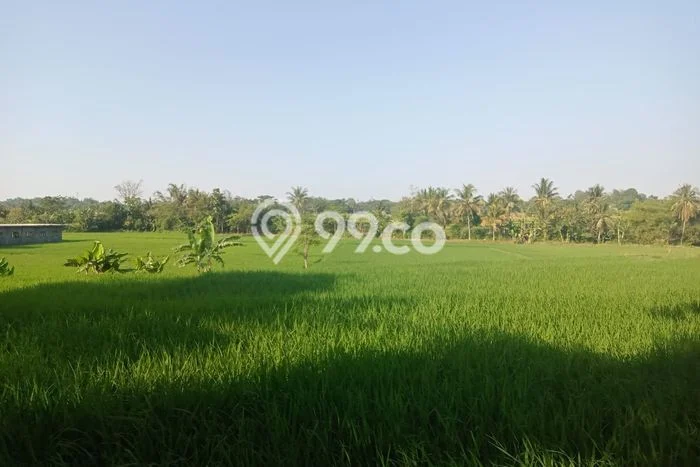 Jual Tanah Lokasi Strategis Kawasan , Luas 5000m2m², Dekat Transportasi Jual Tanah Lokasi Strategis Kawasan , Luas 5000m2m², Dekat Transportasi