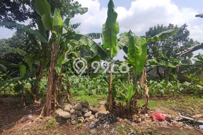Tanah untuk Dijual Lokasi Bogor Utara, Bogor Luas 2000m2 PPJB Tanah untuk Dijual Lokasi Bogor Utara, Bogor Luas 2000m2 PPJB