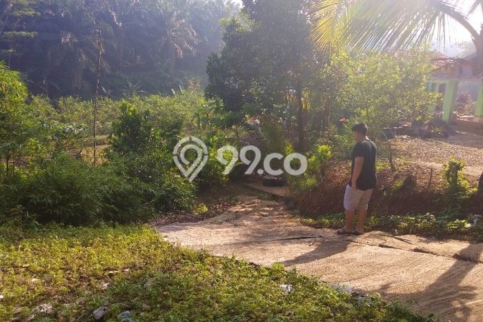 Lahan Investasi Lokasi Ranca Bungur Bogor AJB Lahan Investasi Lokasi Ranca Bungur Bogor AJB