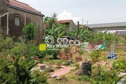 Tanah Siap Bangun Dijual di Bandung Punya Luas 320m2 Tanah Siap Bangun Dijual di Bandung Punya Luas 320m2